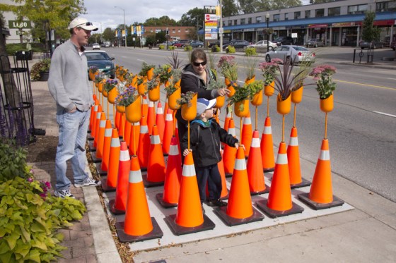 Garden Oasis with Safety Cones by Susan Campbell